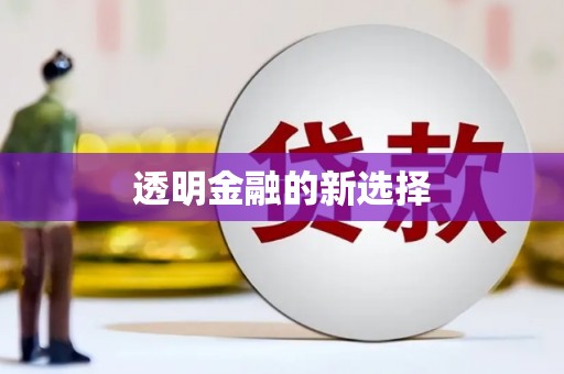 博山透明金融的新选择
