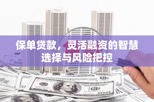 博山保单贷款，灵活融资的智慧选择与风险把控
