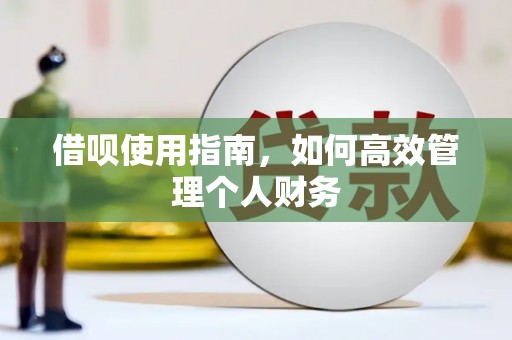 博山借呗使用指南，如何高效管理个人财务