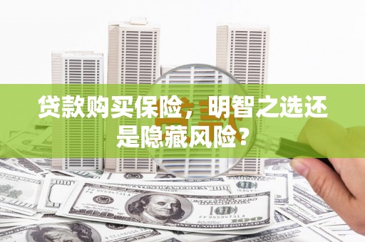 博山贷款购买保险，明智之选还是隐藏风险？