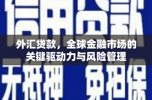 博山外汇贷款，全球金融市场的关键驱动力与风险管理