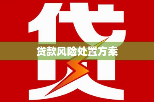 博山贷款风险处置方案