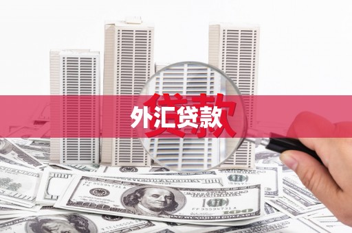 博山外汇贷款