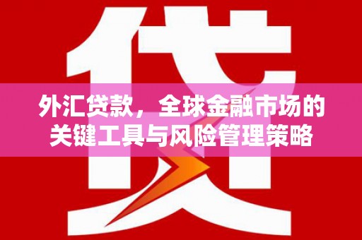 博山外汇贷款，全球金融市场的关键工具与风险管理策略