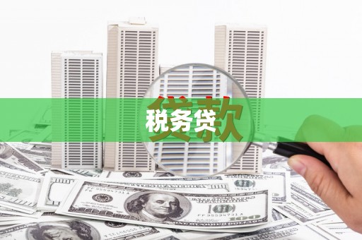 博山税务贷