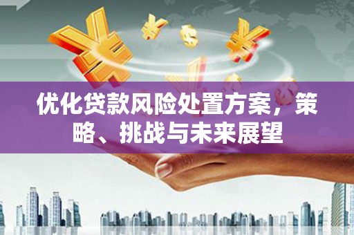博山优化贷款风险处置方案，策略、挑战与未来展望
