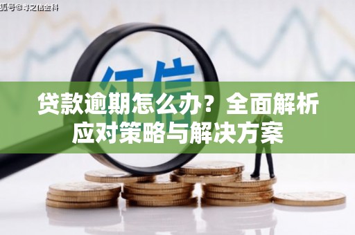 博山贷款逾期怎么办？全面解析应对策略与解决方案