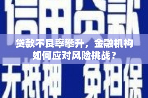 博山贷款不良率攀升，金融机构如何应对风险挑战？