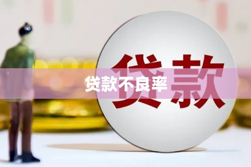 博山贷款不良率
