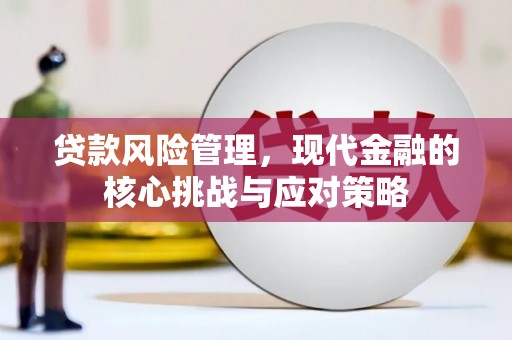 博山贷款风险管理，现代金融的核心挑战与应对策略