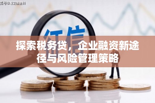 博山探索税务贷，企业融资新途径与风险管理策略