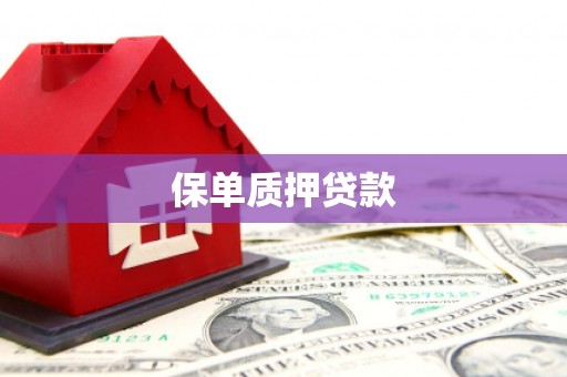 博山保单质押贷款