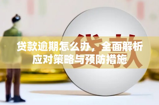 博山贷款逾期怎么办，全面解析应对策略与预防措施