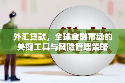 博山外汇贷款，全球金融市场的关键工具与风险管理策略