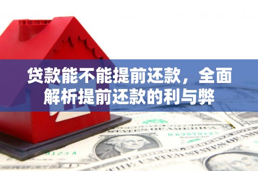 博山贷款能不能提前还款，全面解析提前还款的利与弊