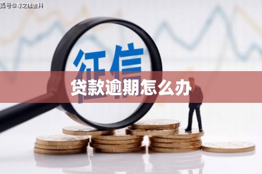 博山贷款逾期怎么办