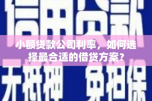 博山小额贷款公司利率，如何选择最合适的借贷方案？