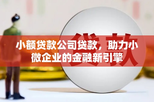 博山小额贷款公司贷款，助力小微企业的金融新引擎