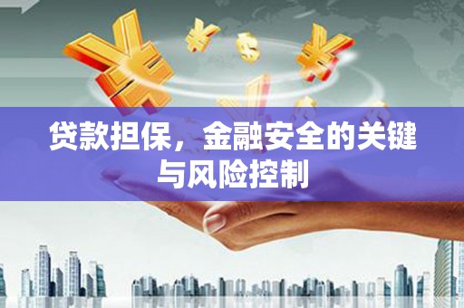 博山贷款担保，金融安全的关键与风险控制