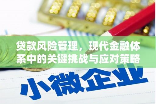 博山贷款风险管理，现代金融体系中的关键挑战与应对策略