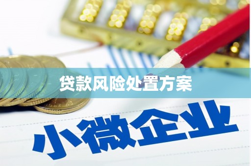 博山贷款风险处置方案