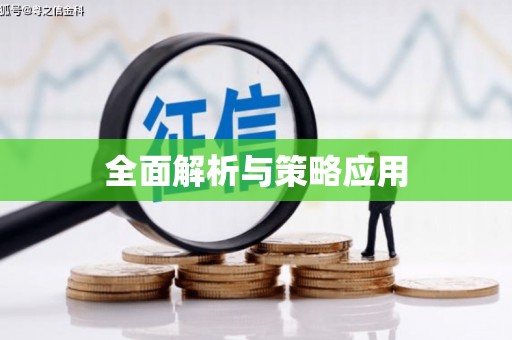 博山全面解析与策略应用