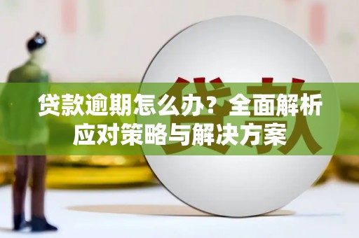 博山贷款逾期怎么办？全面解析应对策略与解决方案