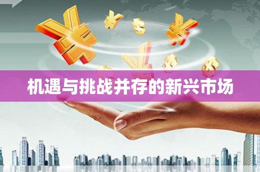 博山机遇与挑战并存的新兴市场